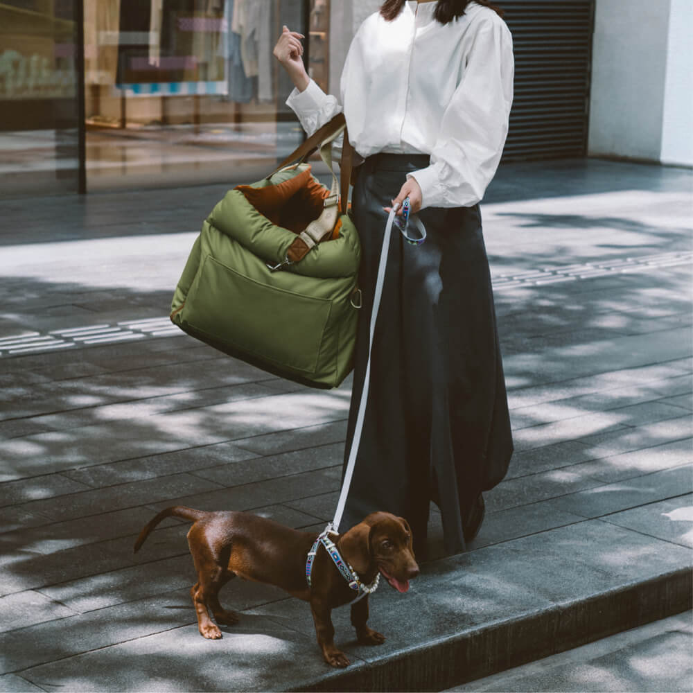 Luxe Honden Autostoel van Kunstleer – Veilig & Comfortabel