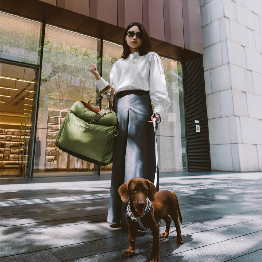 Luxe Honden Autostoel van Kunstleer – Veilig & Comfortabel