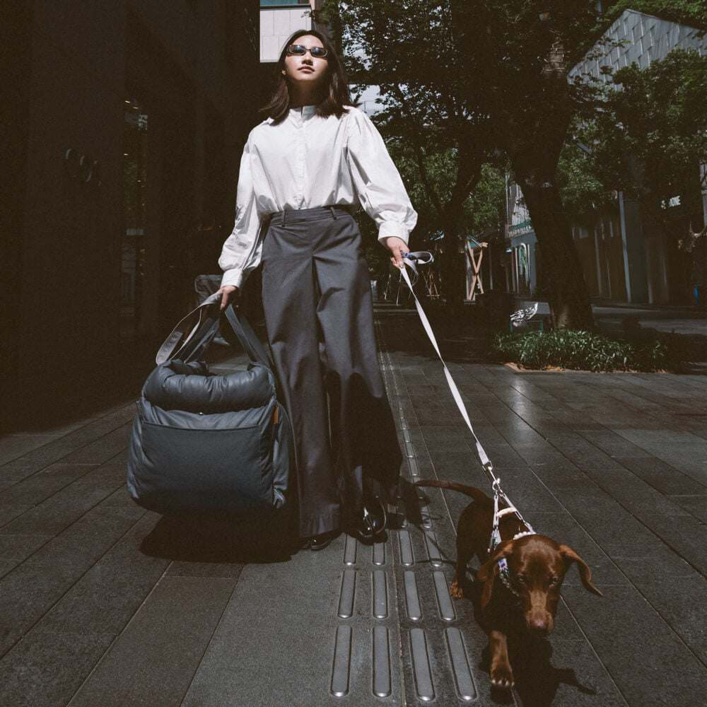 Luxe Honden Autostoel van Kunstleer – Veilig & Comfortabel