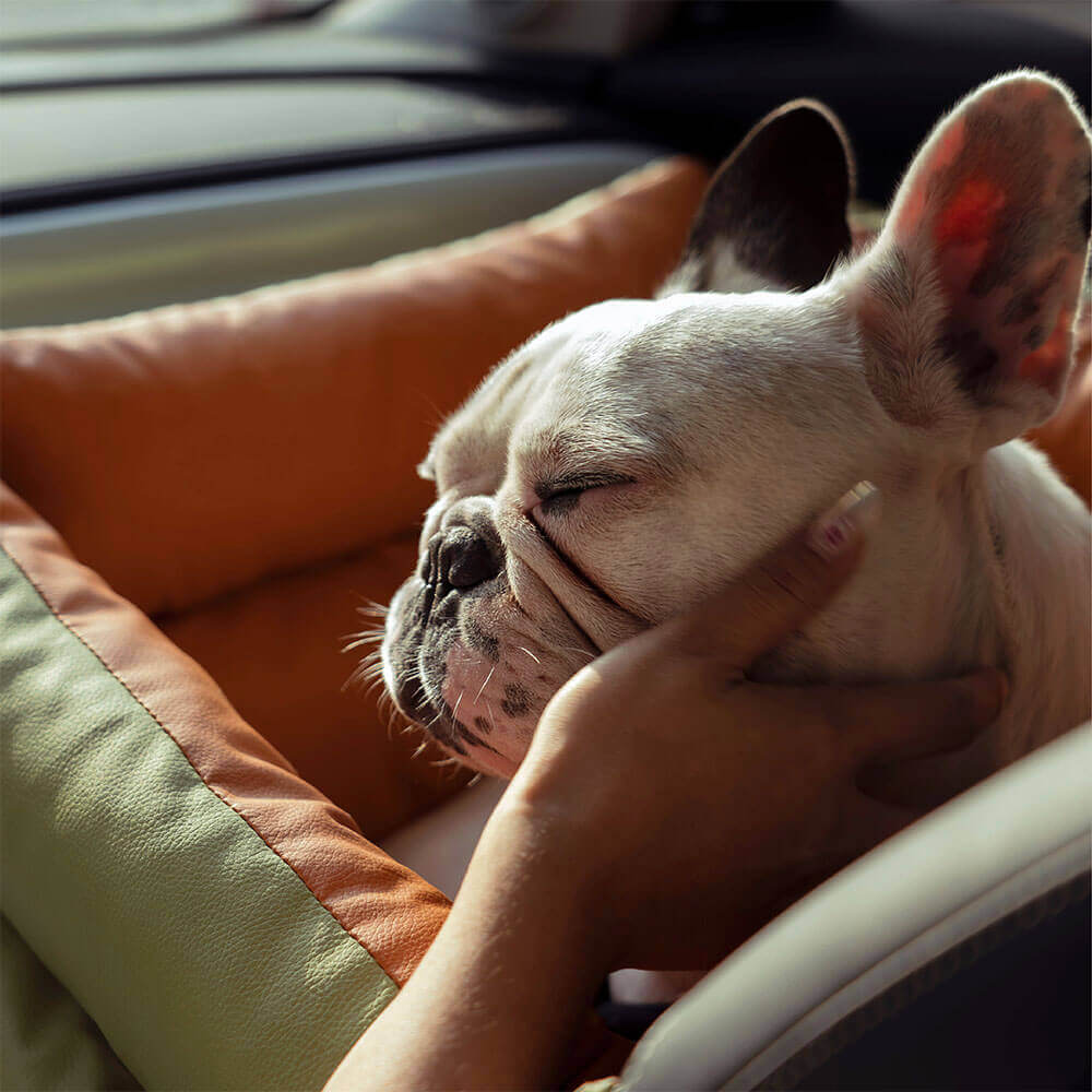 Luxe Honden Autostoel van Kunstleer – Veilig & Comfortabel