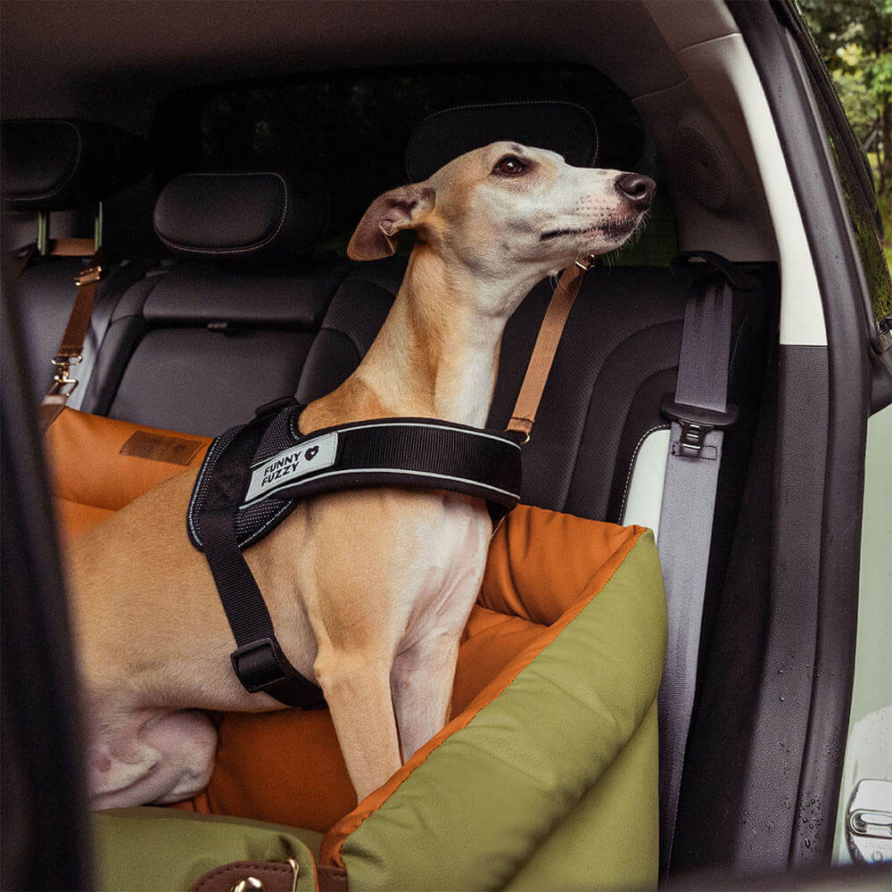 Luxe Honden Autostoel van Kunstleer – Veilig & Comfortabel