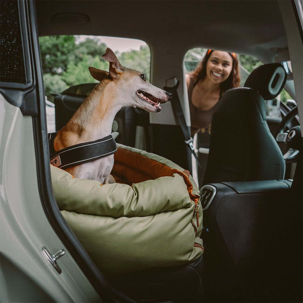 Luxe Honden Autostoel van Kunstleer – Veilig & Comfortabel