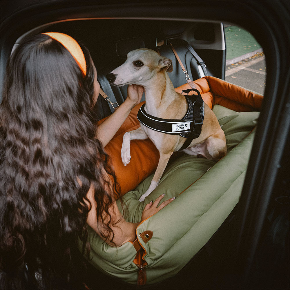 Luxe Honden Autostoel van Kunstleer – Veilig & Comfortabel