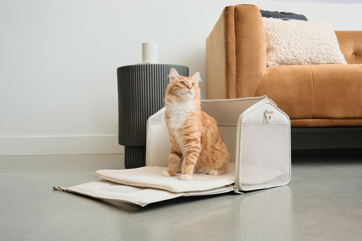 TravelPaws™ Kattenreistas – Comfort & Veiligheid onderweg