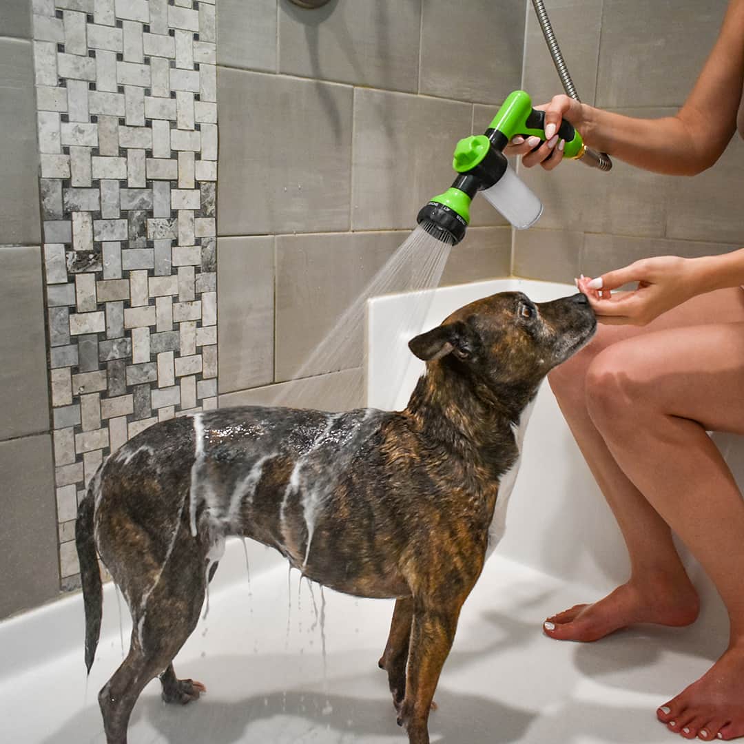 AquaPaws™ – De Slimme Hondendouche