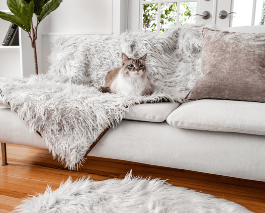 SnuggleShield™ – Luxe & Waterdichte Katten Deken