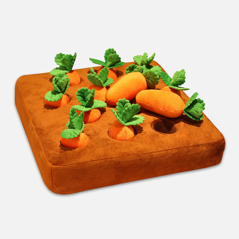 Interactief Wortel Moestuintje – Speel & Zoek!