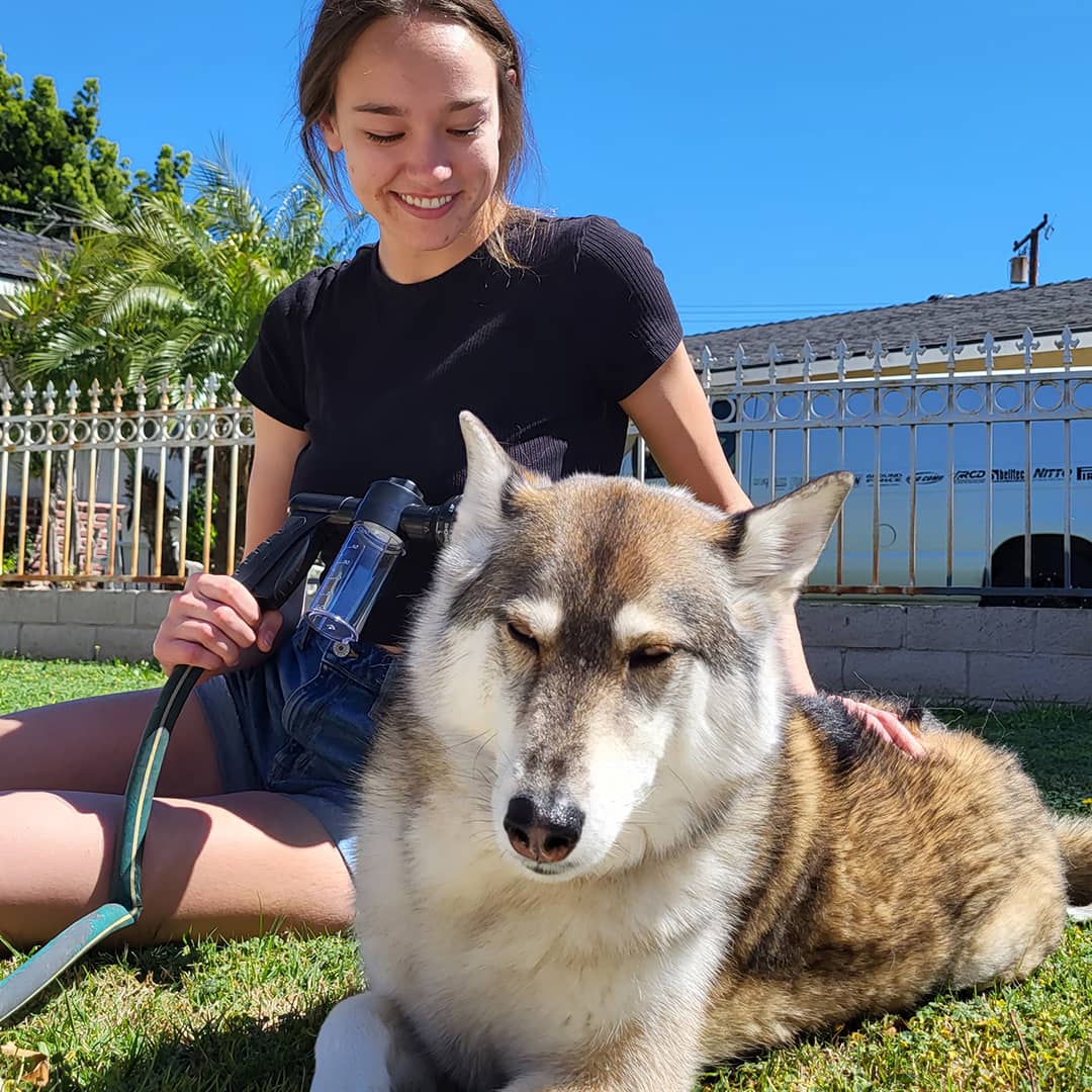 AquaPaws™ – De Slimme Hondendouche