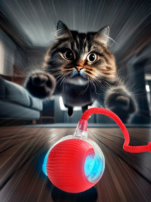PurrChase™ – De Slimme Speelbal voor Katten
