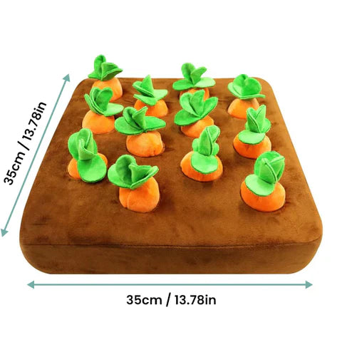 Interactief Wortel Moestuintje – Speel & Zoek!