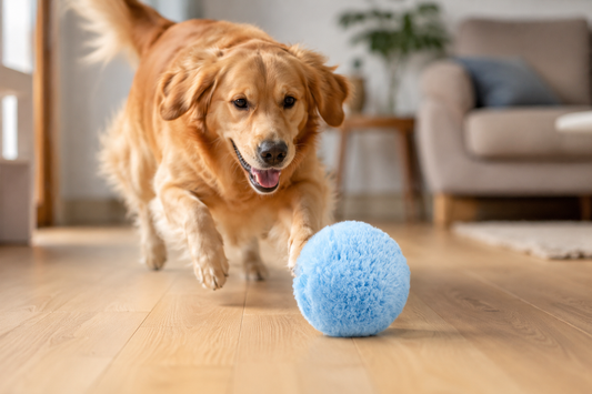 RollyBall™ — De Interactieve Zelfrollende Bal voor Honden
