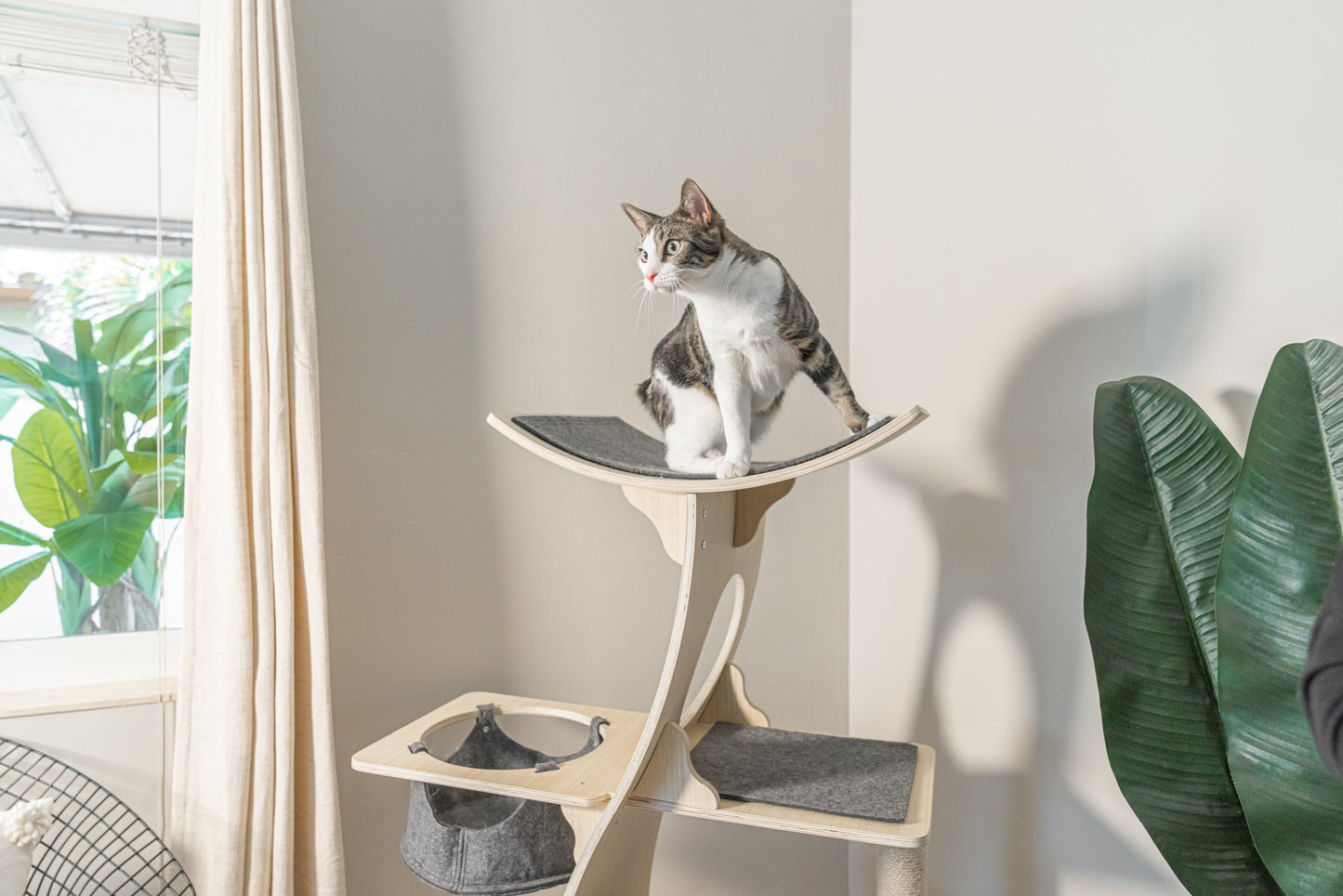 PurrPalace™ – Luxe Krabboom met 5 niveaus