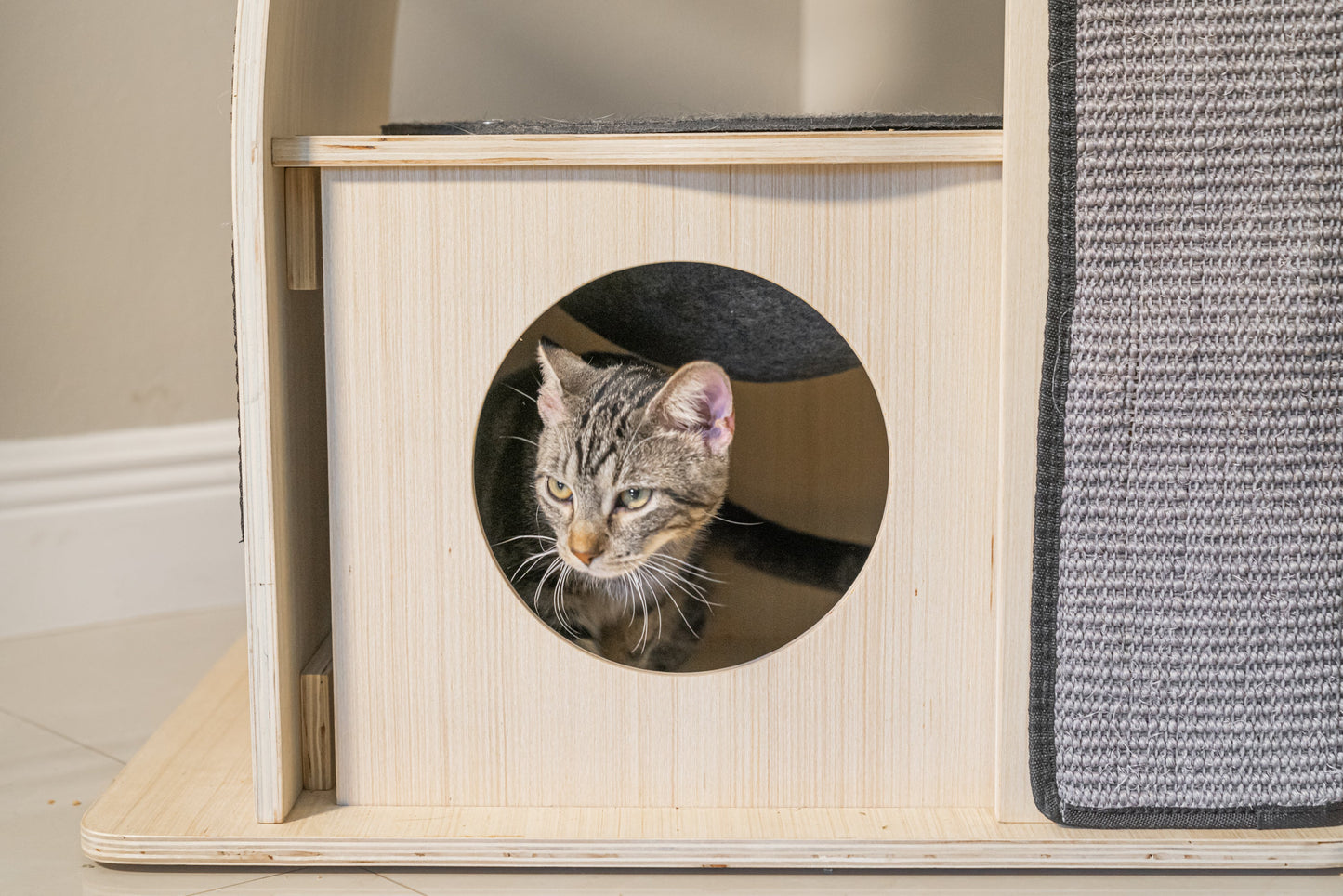 PurrPalace™ – Luxe Krabboom met 5 niveaus