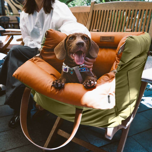 Luxe Honden Autostoel van Kunstleer – Veilig & Comfortabel