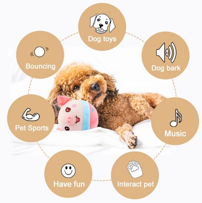 PawPlay™ Bal – Het Speelgoed Waar Honden Geen Genoeg Van Krijgen!