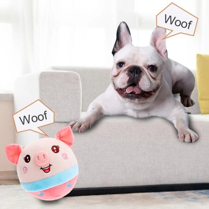 PawPlay™ Bal – Het Speelgoed Waar Honden Geen Genoeg Van Krijgen!