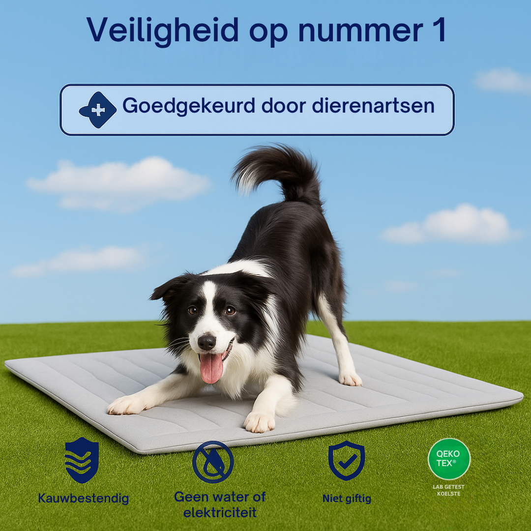 Luxe Verkoelende Hondenmat – Comfort op warme dagen