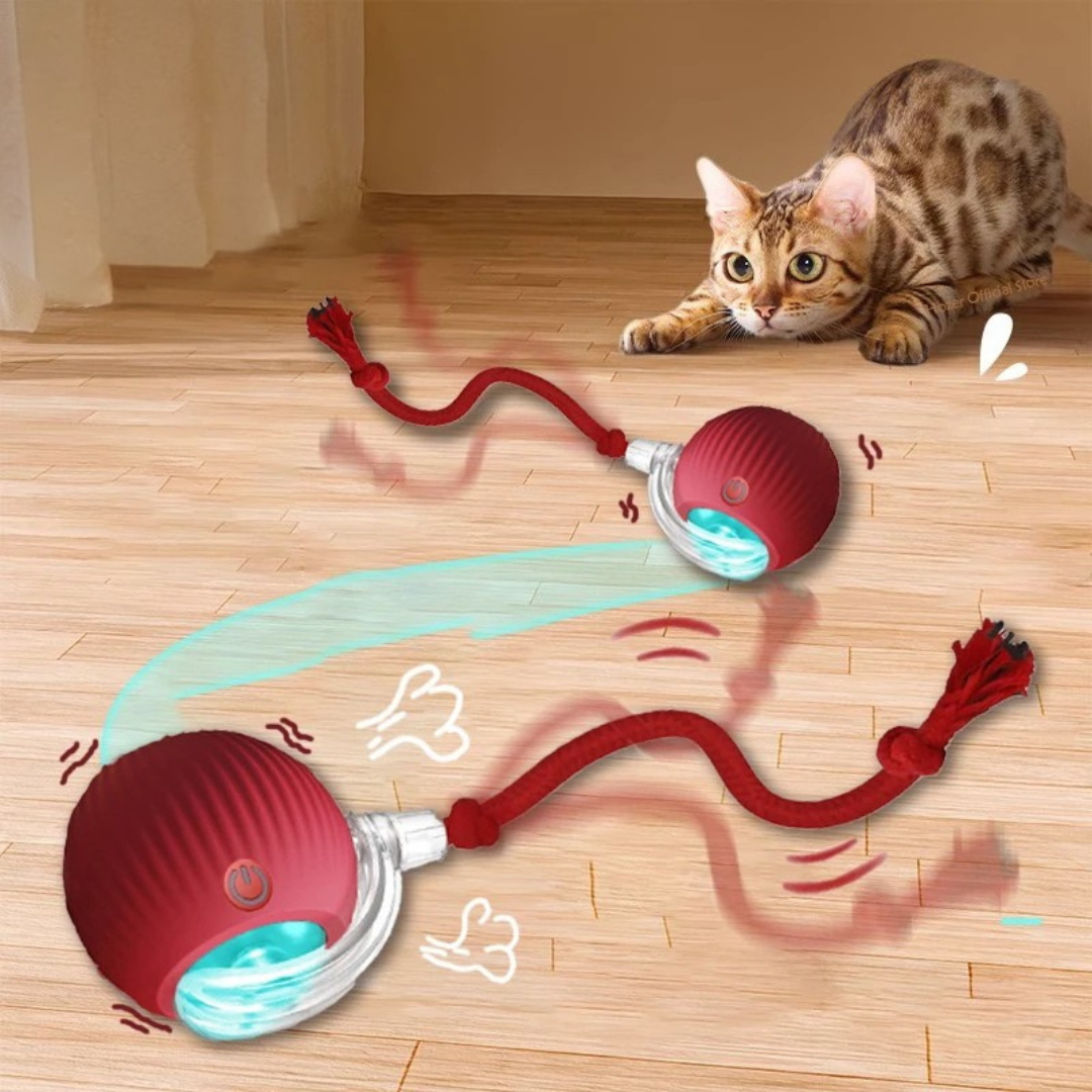 PurrChase™ – De Slimme Speelbal voor Katten