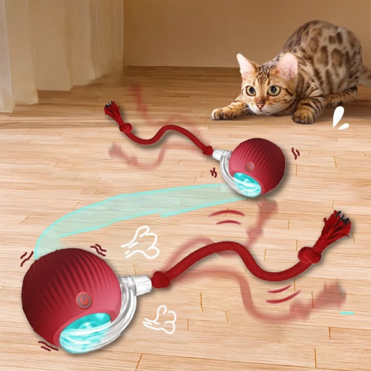 PurrChase™ – De Slimme Speelbal voor Katten