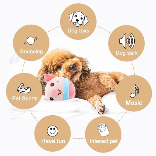 PawPlay™ Bal – Het Speelgoed Waar Honden Geen Genoeg Van Krijgen!