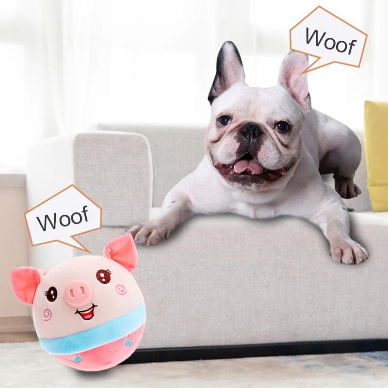 PawPlay™ Bal – Het Speelgoed Waar Honden Geen Genoeg Van Krijgen!