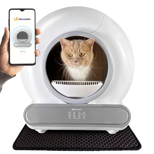 Zelfreinigende Kattenbak 2025 – Altijd fris & zonder gedoe