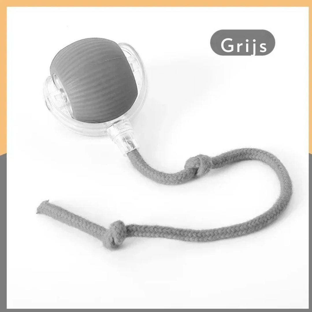 PurrChase™ – De Slimme Speelbal voor Katten