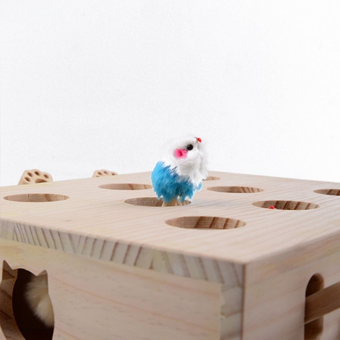 Katten Speelbox™ – Het ultieme jacht- & speelplezier voor jouw kat!