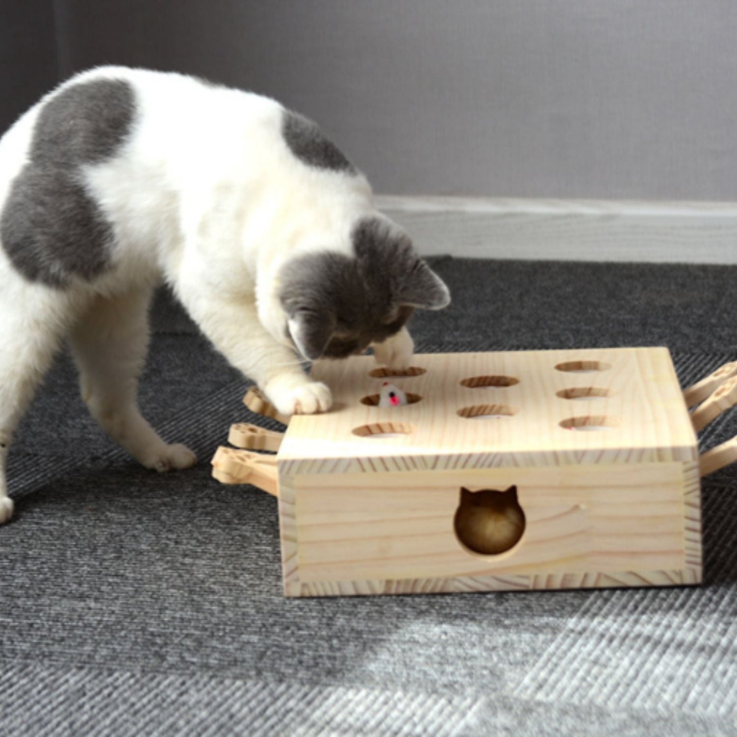 Katten Speelbox™ – Het ultieme jacht- & speelplezier voor jouw kat!