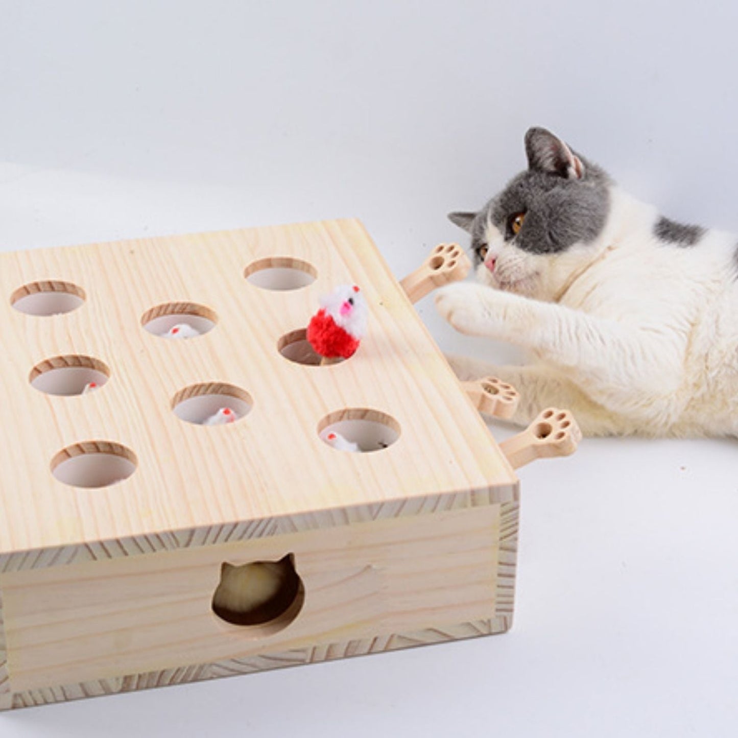 Katten Speelbox™ – Het ultieme jacht- & speelplezier voor jouw kat!