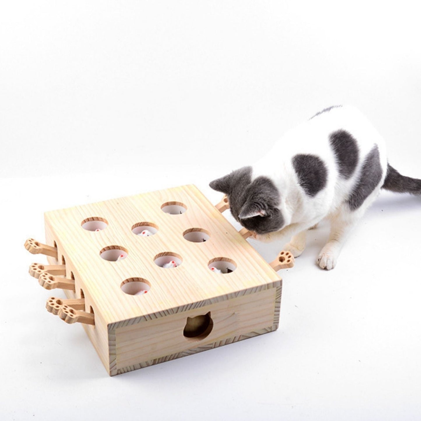 Katten Speelbox™ – Het ultieme jacht- & speelplezier voor jouw kat!