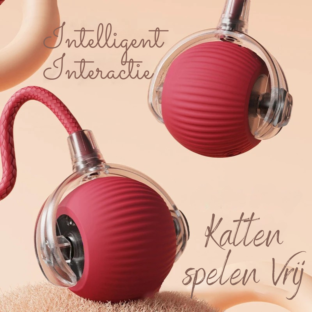 PurrChase™ – De Slimme Speelbal voor Katten