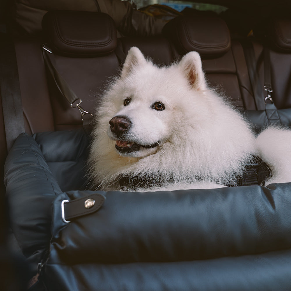 Luxe Hondensofa & Autostoel – Comfortabel, Stijlvol & Veilig