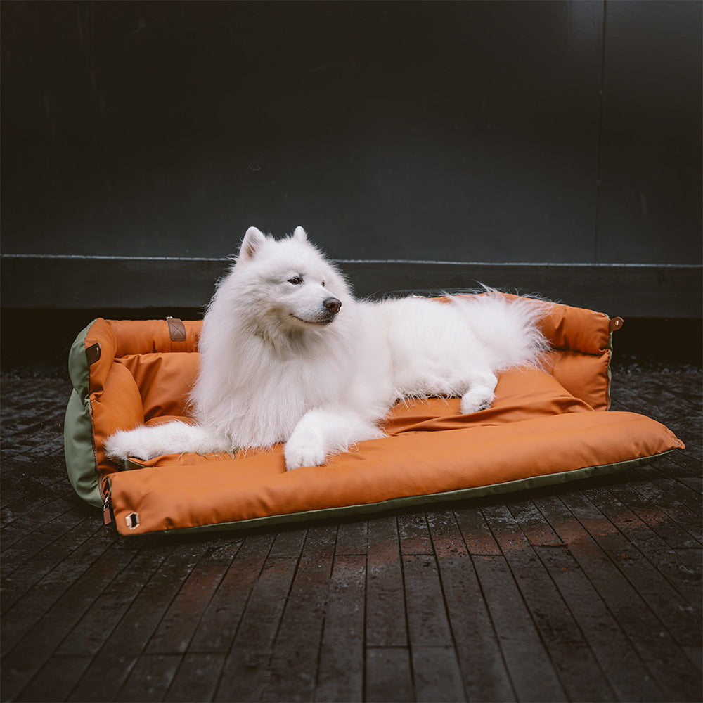 Luxe Hondensofa & Autostoel – Comfortabel, Stijlvol & Veilig