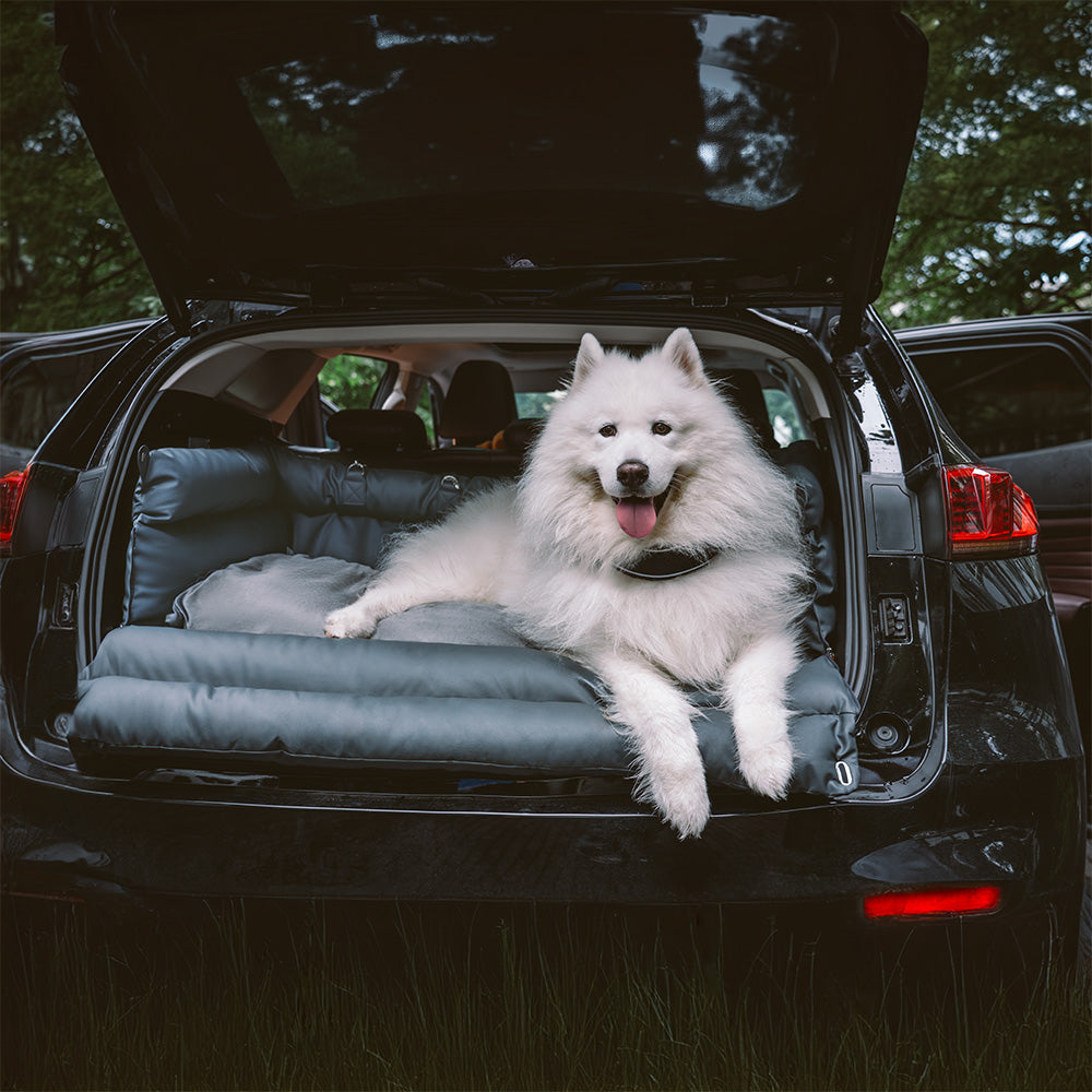 Luxe Hondensofa & Autostoel – Comfortabel, Stijlvol & Veilig