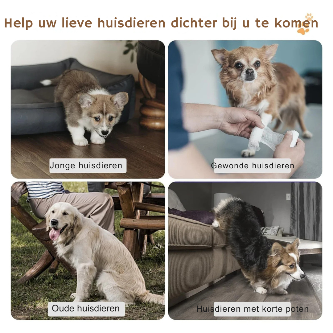 PawStep™ – De Comfortabele Huisdierentrap