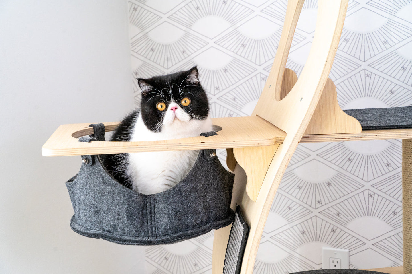 PurrPalace™ – Luxe Krabboom met 5 niveaus