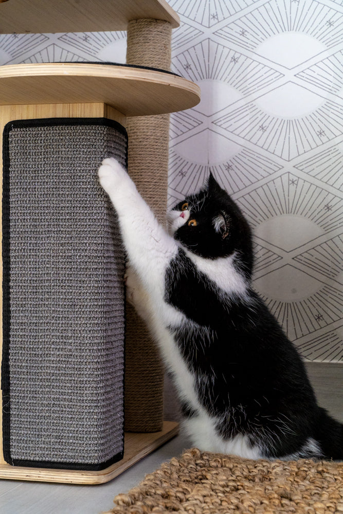 PurrPalace™ – Luxe Krabboom met 5 niveaus