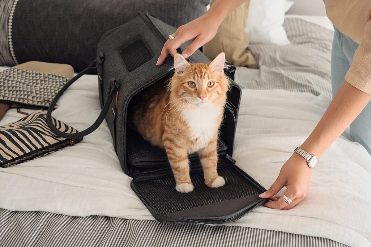 TravelPaws™ Kattenreistas – Comfort & Veiligheid onderweg