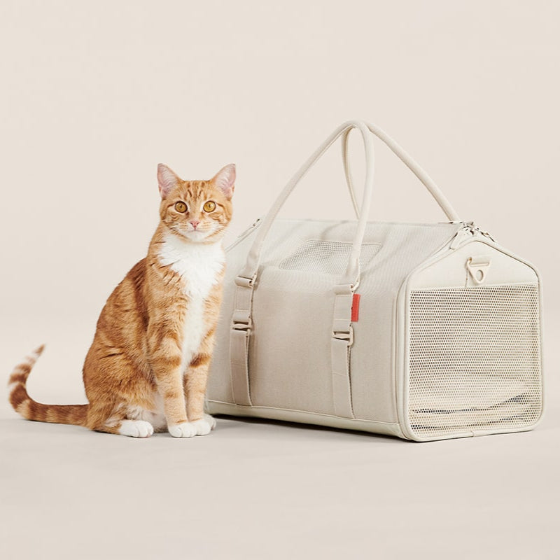 TravelPaws™ Kattenreistas – Comfort & Veiligheid onderweg