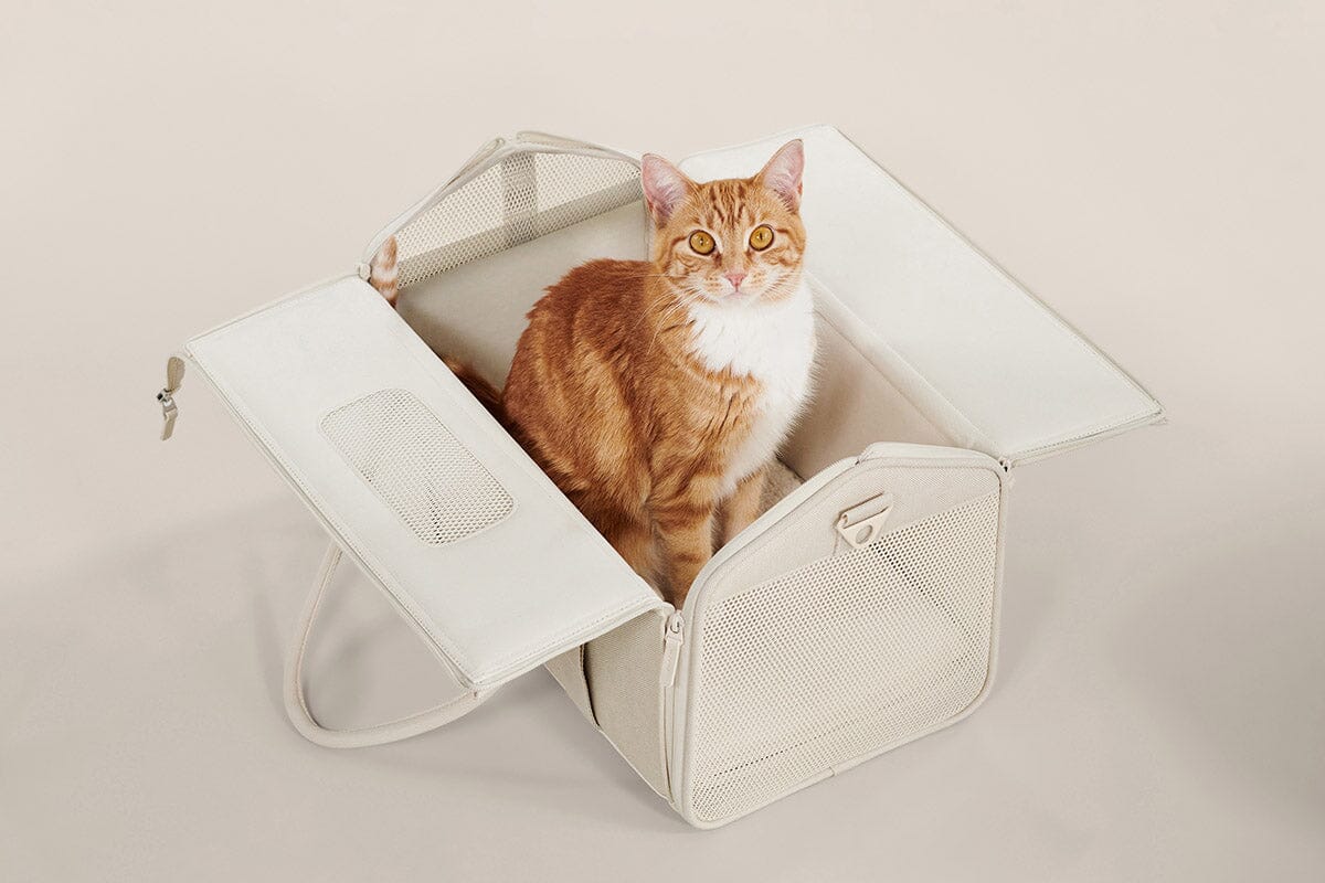 TravelPaws™ Kattenreistas – Comfort & Veiligheid onderweg