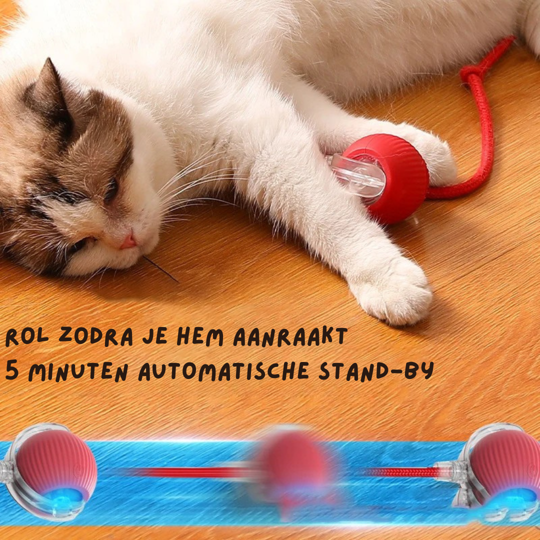 PurrChase™ – De Slimme Speelbal voor Katten