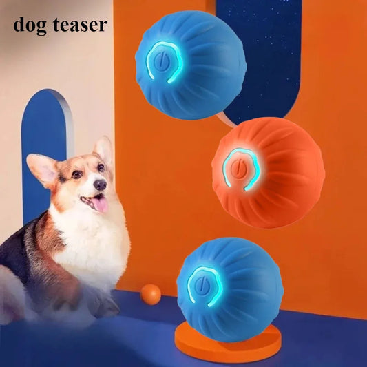 RollyPup™ – De Slimme Speelbal voor Puppy’s