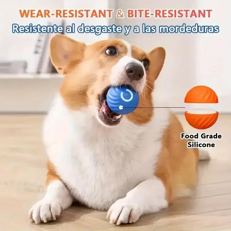 RollyPup™ – De Slimme Speelbal voor Puppy’s