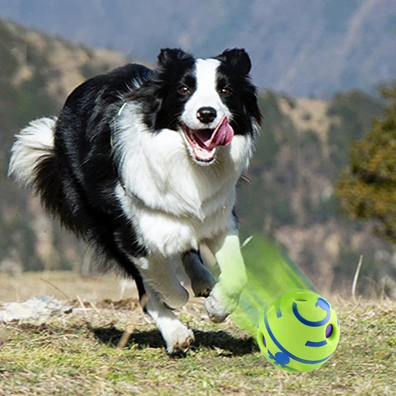 BarkBuzz™ SoundBall – Het Geluidspeeltje dat je Hond GEWELDIG vindt!