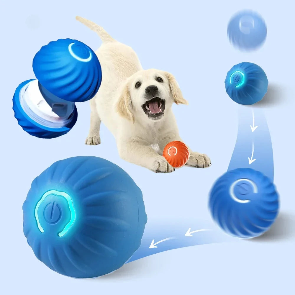 RollyPup™ – De Slimme Speelbal voor Puppy’s
