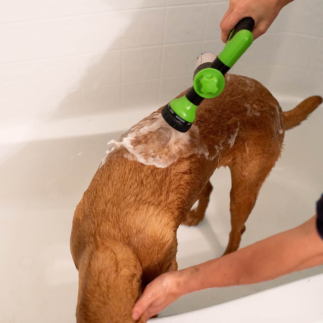 AquaPaws™ – De Slimme Hondendouche