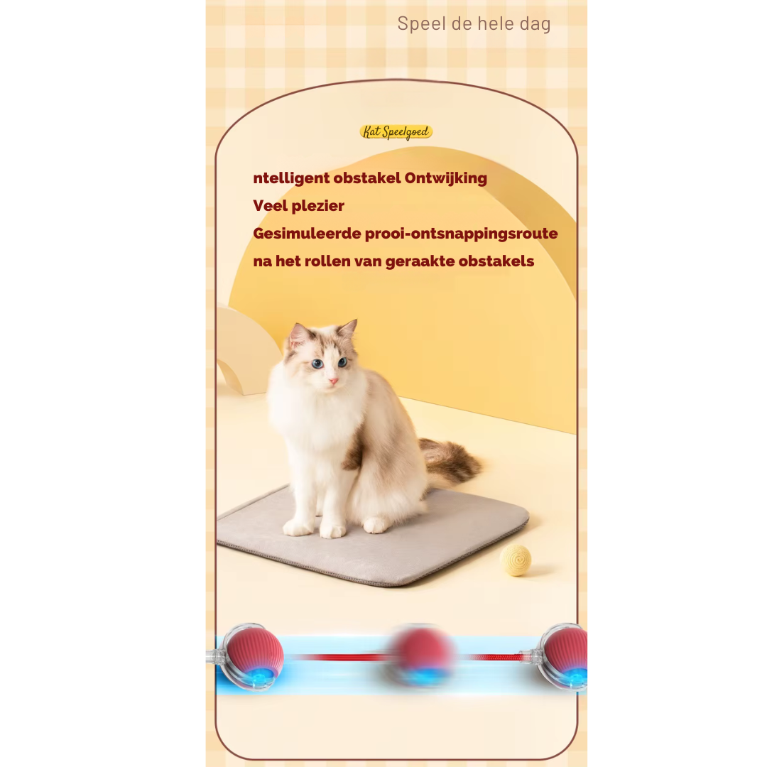 PurrChase™ – De Slimme Speelbal voor Katten