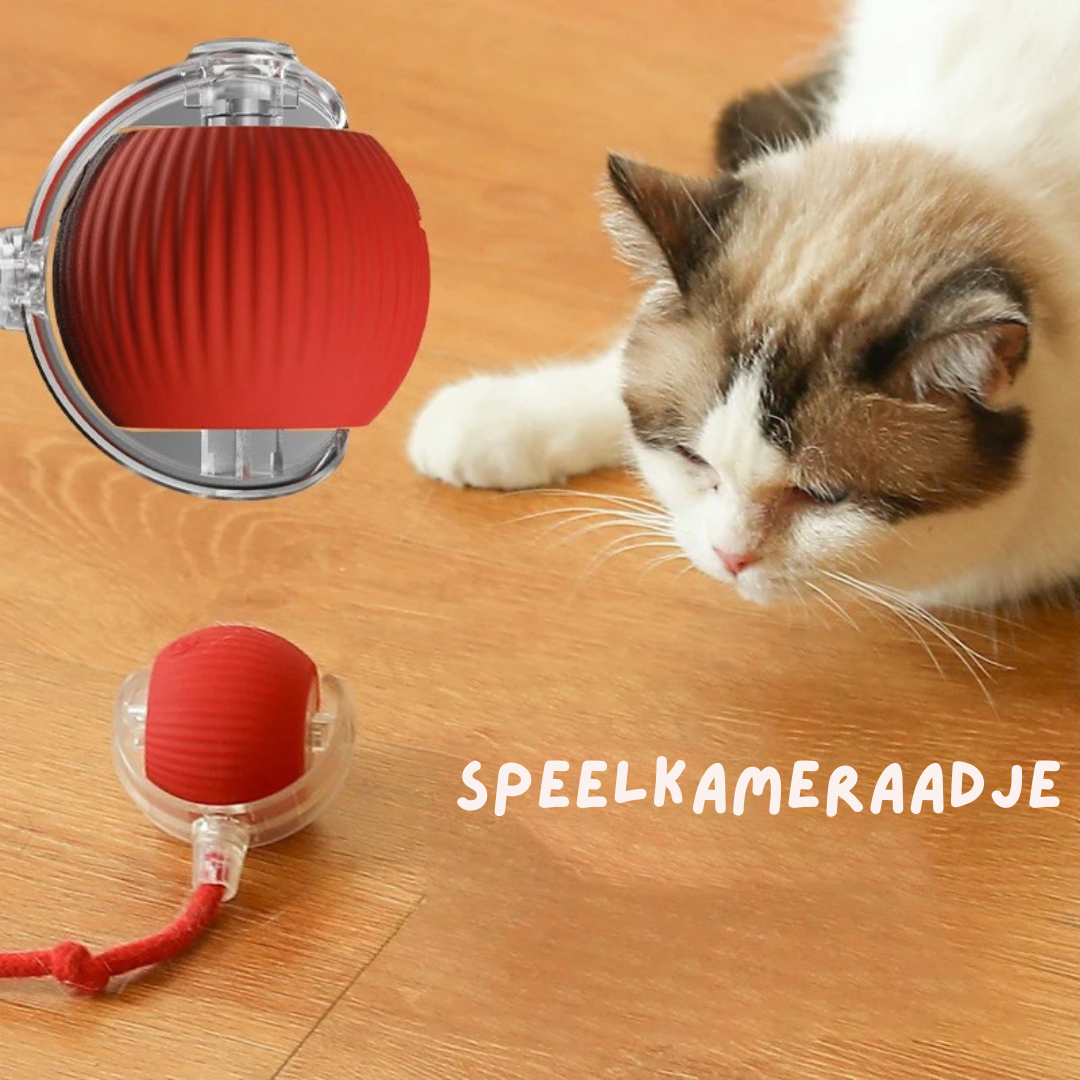 PurrChase™ – De Slimme Speelbal voor Katten
