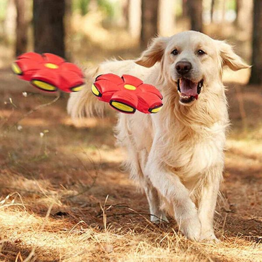 FlexiFly™ – Frisbee én Bal in één!